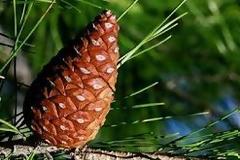 Ζητάει αποζημίωση $5 εκατ.! Το περίεργο είναι ο λόγος... [photos]