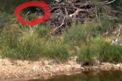 Ένιωθε ότι τον παρακολουθούσαν - Είδε τις φωτογραφίες και δεν μπορούσε να το πιστέψει... [photo]