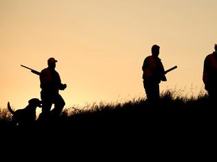 Φωτογραφία για Νότια Εύβοια: Νεκρός 55χρονος κυνηγός στον Αλμυροπόταμο