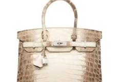 Αυτή η τσάντα κοστίζει όσο... ένα σπίτι - Γιατί;  [video]