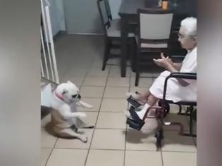Φωτογραφία για Σκύλος και γιαγιά σε τρελά κέφια! Χορεύουν και τραγουδούν!