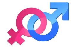 Απίστευτες πινακίδες 