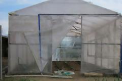 Μαζί με αγγουριές φύτευε και… κάνναβη