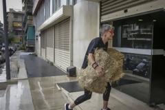 Ακτιβιστές πέταξαν σανό στα γραφεία των ΑΝΕΛ