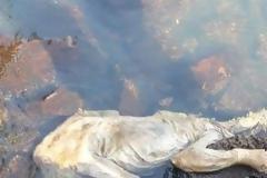 Μυστηριώδες ΠΛΑΣΜΑ βρέθηκε από μια ομάδα πυροσβεστών σε ακτή στην Ουρουγουάη [photos]