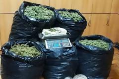 Χιλιάδες δενδρύλλια κάνναβης, όπλα, πυροκροτητές και συλλήψεις στην Κρήτη (ΦΩΤΟ & ΒΙΝΤΕΟ)