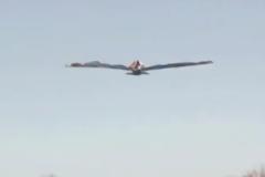 Απίστευτη πατέντα που τον κάνει να πετάει σαν πουλί! [video]