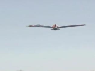 Φωτογραφία για Απίστευτη πατέντα που τον κάνει να πετάει σαν πουλί! [video]
