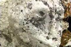 Ο μύθος του ΠΕΤΡΙΝΟΥ πλάσματος που βρίσκεται κρυμμένο στην Κρήτη [videos]