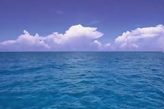 Μετά από αυτό ΔΕΝ θα ξαναμπείτε στην θάλασσα [photo]