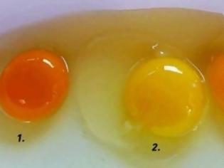 Φωτογραφία για Κρόκος αυγού: Ποιος από τους τρεις σας φαίνεται πιο υγιεινός;