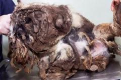 Στην αρχή το πέρασαν για στοίβα σκουπίδια! Τελικά όμως από κάτω κρυβόταν... [photos]