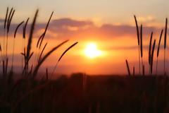 Θερινό Ηλιοστάσιο 2018: Τι είναι, κάθε πότε συμβαίνει και γιατί