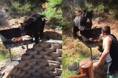 Πεινασμένη αρκούδα κάνει «ντου» σε μπάρμπεκιου και αρπάζει ό,τι βρει! [video]
