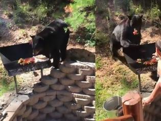 Φωτογραφία για Πεινασμένη αρκούδα κάνει «ντου» σε μπάρμπεκιου και αρπάζει ό,τι βρει! [video]