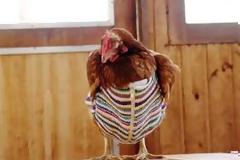 Δείτε τα ρούχα που δεν υπήρχε περίπτωση να φορέσετε ΠΟΤΕ! [photos]