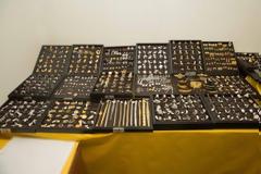 ''Κίνδυνος να γίνουν καπνός οι συλληφθέντες της μαφίας των Ρομά'' - Κείμενο αναγνώστη