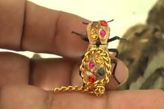 Τρομακτική τάση! Ζωντανά σκαθάρια φοριούνται ως κοσμήματα! [video]