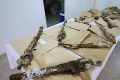 Τα όπλα των πεσόντων Ελλήνων καταδρομέων του Νοράτλας σε μουσεία