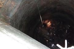 Καρέ- καρέ η διάσωση σκύλου που έπεσε σε πηγάδι στην Αργολίδα