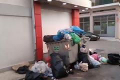 Αχαΐα: Απίστευτο! Θα κλειδώσουν τους κάδους απορριμμάτων για να μην ... τους εξαφανίσουν πάλι!