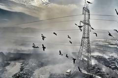 Τοξικά μέταλλα στον Ασπρόπυργο