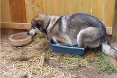 Μάλλον έχουν μπερδευτεί λίγο... [photo]