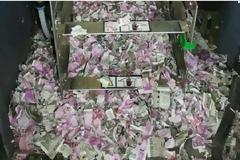 Τα χρήματα έχουν ωραία… γεύση: Αρουραίοι ροκάνισαν 17.600 δολάρια σε ATM