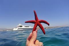 Επίδομα καλοκαιριού: Πότε καταβάλεται - Υπολογίστε on line πόσα χρήματα θα πάρετε