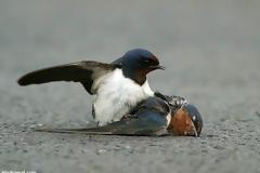 Τι είναι η αγάπη...;