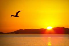 Δελτίο καιρού για Πέμπτη 21/6/2018