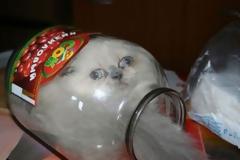 Ουπς... κάτι δεν πήγε καλά [photos]