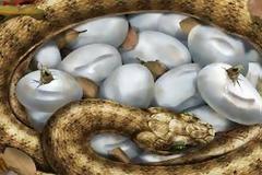 Ο φασισμός και η ανίκητη φυλή των ηλιθίων