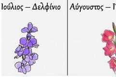 Το Λουλούδι της Γέννησής αποκαλύπτει πολλά και πέφτει μέσα. Δες τι  δείχνει για την προσωπικότητά σου.