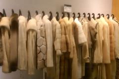 Εξιχνιάστηκαν κλοπές γουναρικών στην Καστοριά - 1.870.000 ευρώ η λεία - Χειροπέδες σε έναν Σέρβο