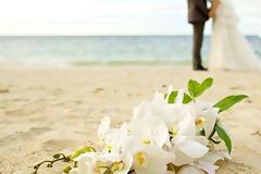 Τι είδους γάμο ετοιμάζουν τα ζώδια