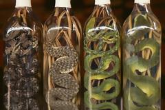 Τα πιο...περίεργα ποτά [photos]