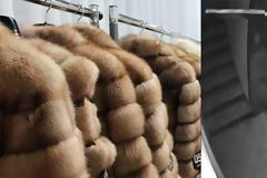 Συγχαρητήρια των Γουνοποιών στους αστυνομικούς της Καστοριάς