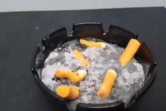 Τασάκια, σφουγγάρια, σάπια φρούτα για… φάγωμα