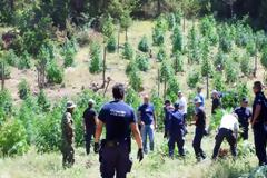 Αντιμέτωποι με ισόβια πέντε Λάκωνες για δύο μεγάλες χασισοφυτείες