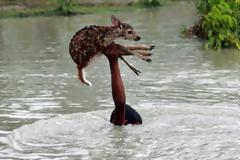 Διάλεγε πάντα τον καλύτερο δρόμο...