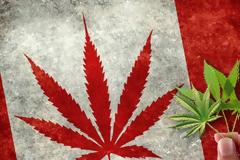 Τριντό: Στις 17 Οκτωβρίου... ελεύθερα η κάνναβη στον Καναδά