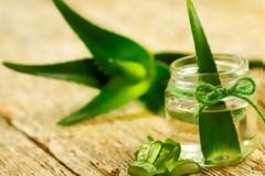 Τα 14 σημαντικότερα οφέλη της αλόης