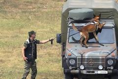 Εντυπωσίασαν οι σκύλοι-κομάντο των Ειδικών Δυνάμεων (φωτογραφίες)
