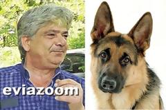 Εύβοια: Λυκόσκυλο ακολούθησε τον ιδιοκτήτη του ακόμη και στο θάνατο - «Έσβησε» στο ίδιο μέρος που πέθανε και ο Θανάσης Καλτσούλας! (ΦΩΤΟ)