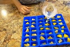 Έβαλε σε παγοθήκη ξύδι και λεμόνι και έφτιαξε κάτι πολύ ισχυρό! [video]