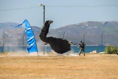 Αλεξιπτωτιστής άνοιξε πυρ στο στρατόπεδο που υπηρετούσε στην Κρήτη