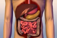 Πέψη: 5 μύθοι που πρέπει να καταρρίψετε άμεσα