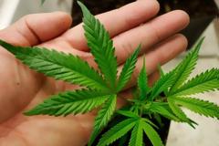 Πανελλήνιος Αντιναρκωτικος Αγώνας: Η 26η Ιουνίου καθιερώθηκε από τον Οργανισμό Ηνωμένων Εθνών ως Παγκόσμιος Ημέρα κατά των ναρκωτικών.