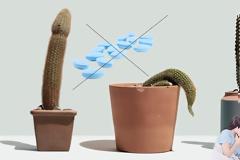 Το βιολογικό ερωτικό superfood που ξεπέρασε σε πωλήσεις τα γνωστά μπλε χάπια πλέον και στην Ελλάδα.